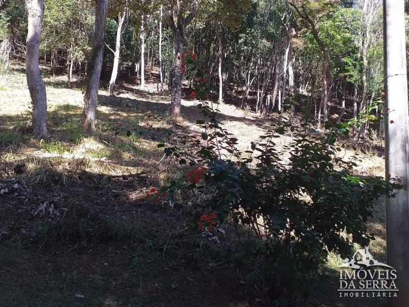 Terreno Residencial à venda em Pedro do Rio, Petrópolis - RJ - Foto 7