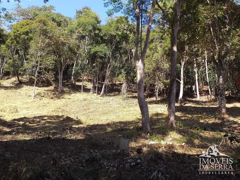 Terreno Residencial à venda em Pedro do Rio, Petrópolis - RJ - Foto 3