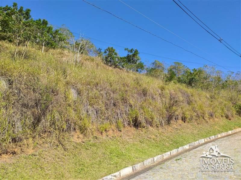 Terreno Residencial à venda em Pedro do Rio, Petrópolis - RJ - Foto 15