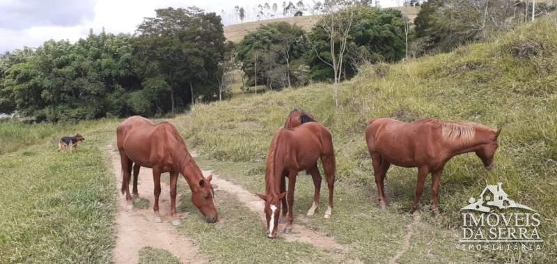 Fazenda / Sítio à venda em Posse, Petrópolis - RJ - Foto 9