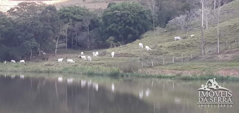 Fazenda / Sítio à venda em Posse, Petrópolis - RJ - Foto 10