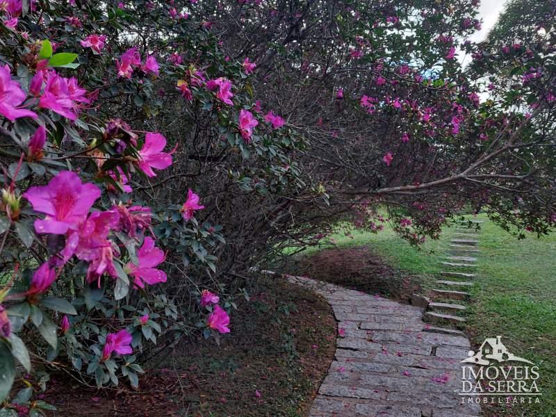 Comprar Pousada em Pedro do Rio, Petrópolis/RJ - Imóveis da Serra Comprar Pousada em Pedro do Rio, Petrópolis/RJ - Imóveis da Serra