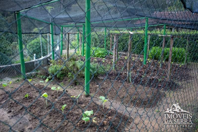 Comprar Pousada em Pedro do Rio, Petrópolis/RJ - Imóveis da Serra Comprar Pousada em Pedro do Rio, Petrópolis/RJ - Imóveis da Serra
