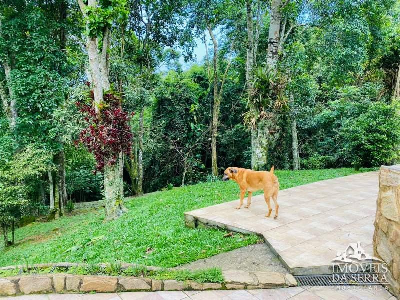 Comprar Sitio em Fazenda Inglesa , Petrópolis/RJ - Imóveis da Serra Comprar Sitio em Fazenda Inglesa , Petrópolis/RJ - Imóveis da Serra