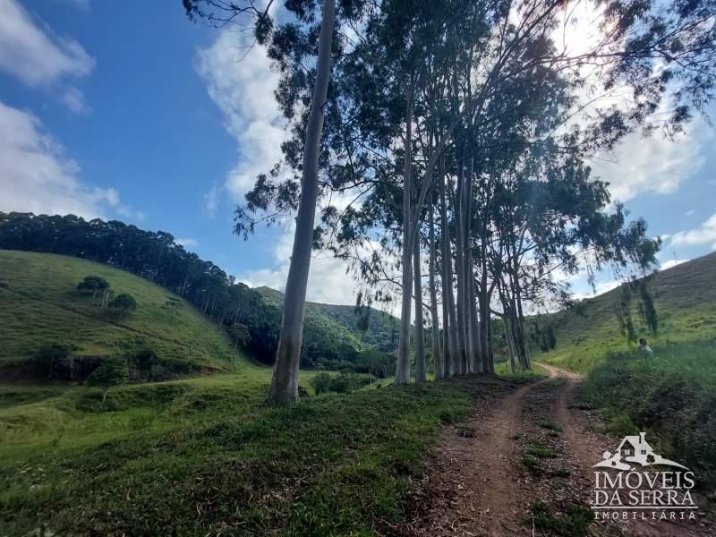 Fazenda / Sítio à venda em Sebollas, Paraíba do Sul - RJ - Foto 1