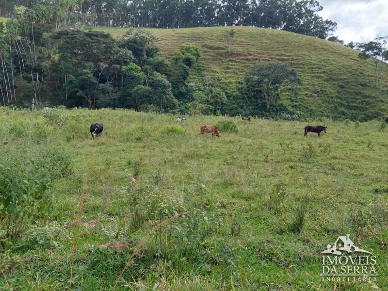Comprar Sitio em Sebollas, Paraíba do Sul/RJ - Imóveis da Serra