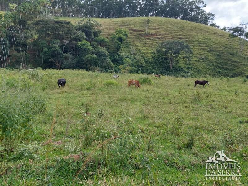 Fazenda / Sítio à venda em Sebollas, Paraíba do Sul - RJ - Foto 2