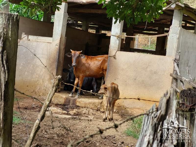 Fazenda / Sítio à venda em Sebollas, Paraíba do Sul - RJ - Foto 13