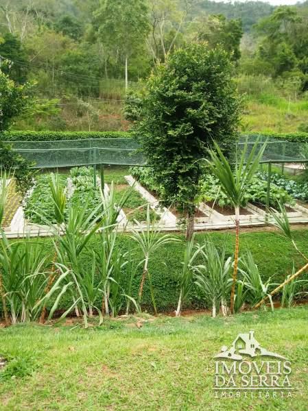 Terreno Residencial à venda em Pedro do Rio, Petrópolis - RJ - Foto 5