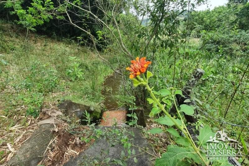 Fazenda / Sítio à venda em Posse, Petrópolis - RJ - Foto 17
