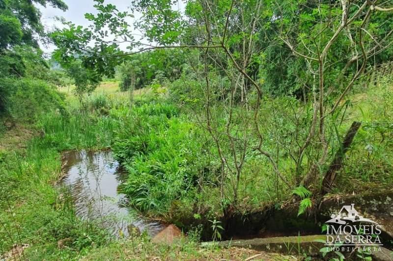 Fazenda / Sítio à venda em Posse, Petrópolis - RJ - Foto 2