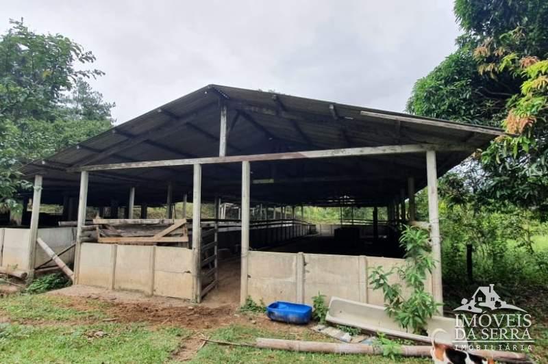 Fazenda / Sítio à venda em Posse, Petrópolis - RJ - Foto 9