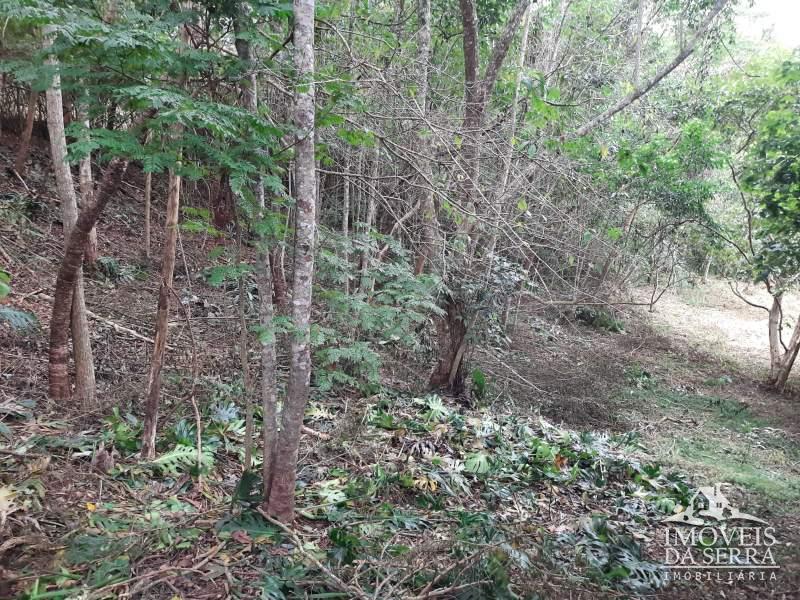 Terreno Residencial à venda em Malta, Petrópolis - RJ - Foto 2