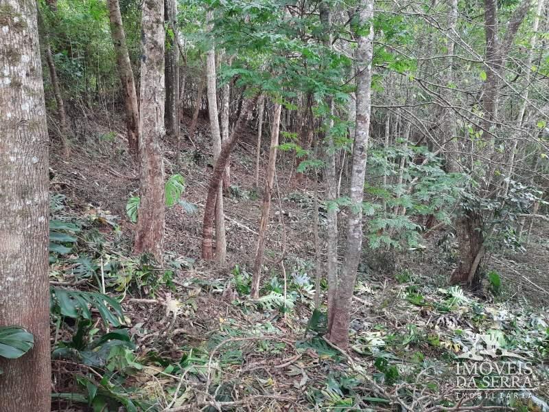 Terreno Residencial à venda em Malta, Petrópolis - RJ - Foto 3
