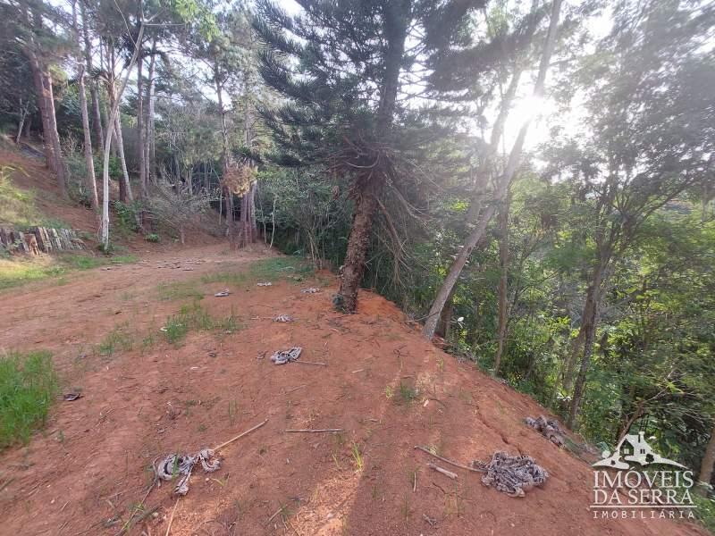 Terreno Residencial à venda em Itaipava, Petrópolis - RJ - Foto 7