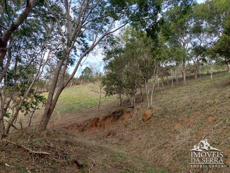 Comprar Terreno Condomínio em Itaipava, Petrópolis/RJ - Imóveis da Serra