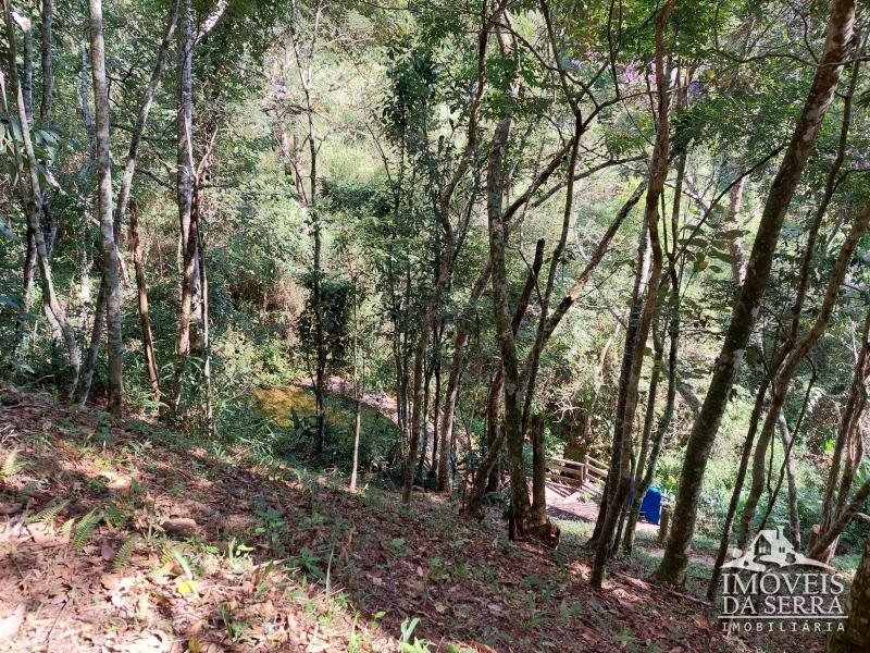 Terreno Residencial à venda em Itaipava, Petrópolis - RJ - Foto 8