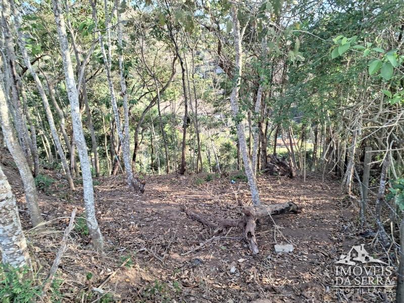 Terreno Residencial em Itaipava - Petrópolis/RJ 