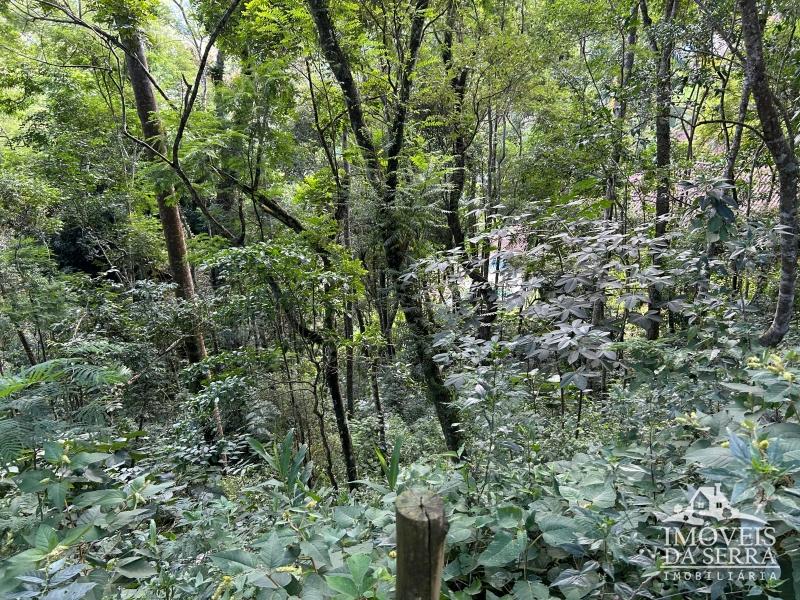 Comprar Terreno Condomínio em Itaipava, Petrópolis/RJ - Imóveis da Serra