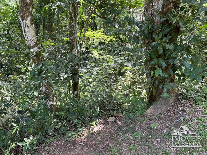 Comprar Terreno Condomínio em Itaipava, Petrópolis/RJ - Imóveis da Serra