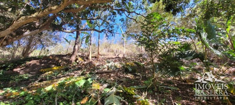 Comprar Sitio em Posse, Petrópolis/RJ - Imóveis da Serra