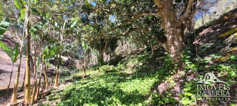 Comprar Sitio em Posse, Petrópolis/RJ - Imóveis da Serra