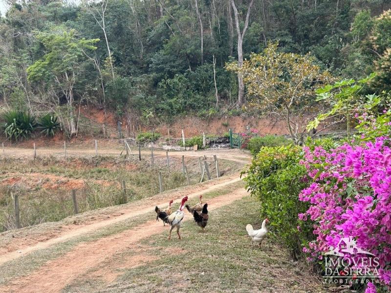 Comprar Fazenda / Sítio em Sapucaia, Sapucaia/RJ - Imóveis da Serra