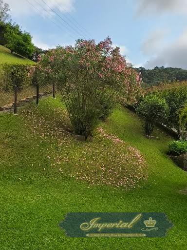 Casa à venda com 4 quartos, 130m² - Foto 57