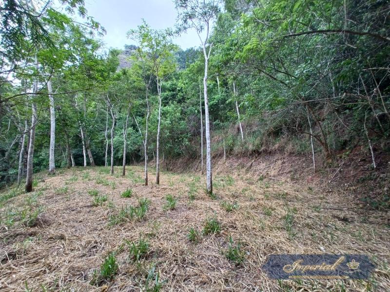 Terreno Residencial à venda em Cuiabá, Petrópolis - RJ - Foto 8