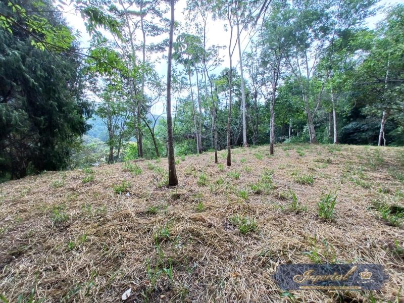 Terreno Residencial à venda em Cuiabá, Petrópolis - RJ - Foto 1
