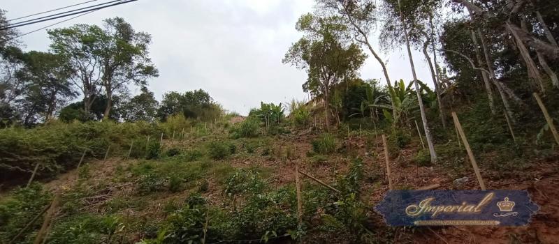 Terreno Residencial à venda em Nogueira, Petrópolis - RJ - Foto 2