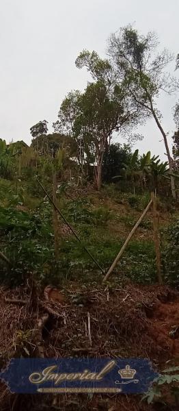 Terreno Residencial à venda em Nogueira, Petrópolis - RJ - Foto 3