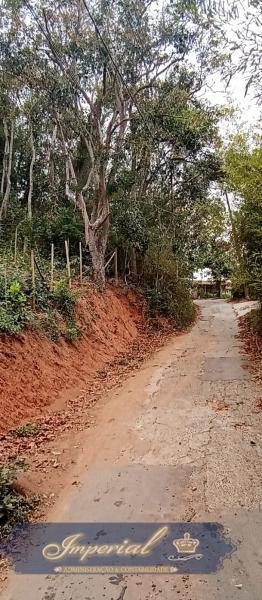 Terreno Residencial à venda em Nogueira, Petrópolis - RJ - Foto 4