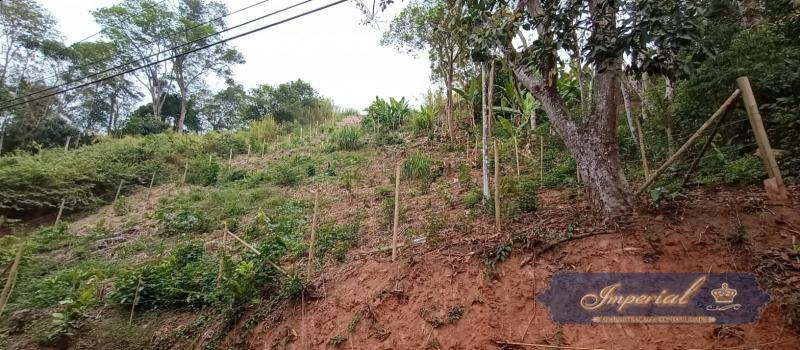 Terreno Residencial à venda em Nogueira, Petrópolis - RJ - Foto 5