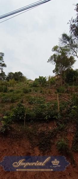 Terreno Residencial à venda em Nogueira, Petrópolis - RJ - Foto 6