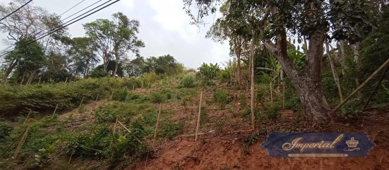 Terreno Residencial à venda em Nogueira, Petrópolis - RJ - Foto 7