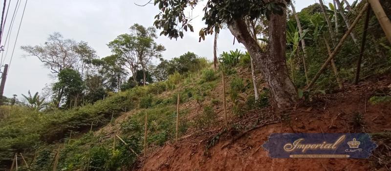 Terreno Residencial à venda em Nogueira, Petrópolis - RJ - Foto 8