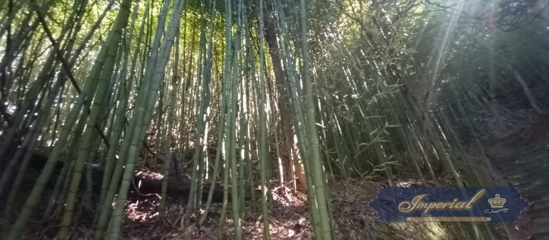 Casa à venda em Corrêas, Petrópolis - RJ - Foto 39