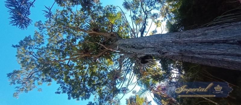 Casa à venda em Corrêas, Petrópolis - RJ - Foto 45