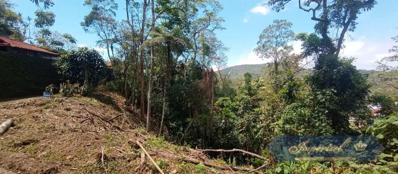 Terreno Residencial à venda em Quitandinha, Petrópolis - RJ - Foto 3