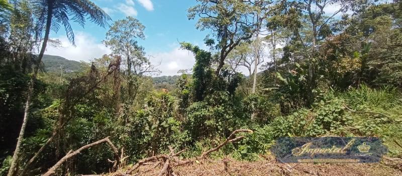 Terreno Residencial à venda em Quitandinha, Petrópolis - RJ - Foto 4