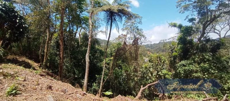 Terreno Residencial à venda em Quitandinha, Petrópolis - RJ - Foto 6