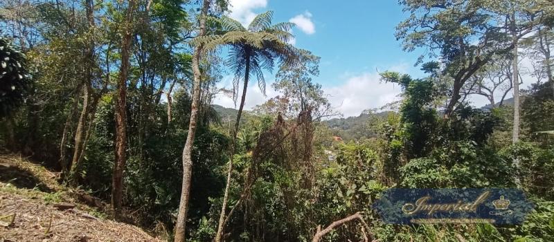 Terreno Residencial à venda em Quitandinha, Petrópolis - RJ - Foto 8