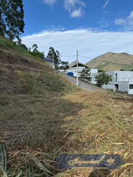 Terreno Residencial à venda em Carangola, Petrópolis - RJ - Foto 1