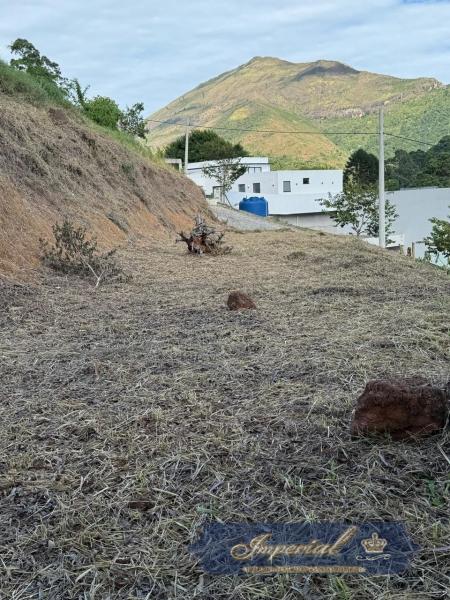 Terreno Residencial à venda em Carangola, Petrópolis - RJ - Foto 3