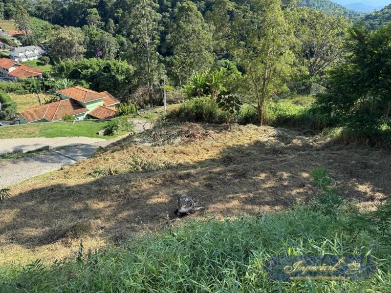 Terreno Residencial à venda em Carangola, Petrópolis - RJ - Foto 4