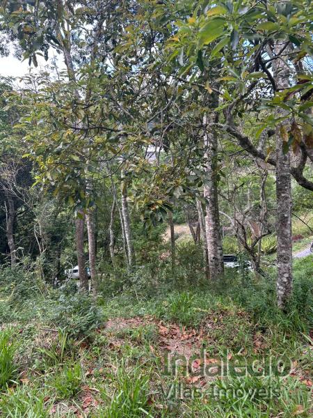 Terreno Residencial à venda em Caxambú, Petrópolis - RJ - Foto 2