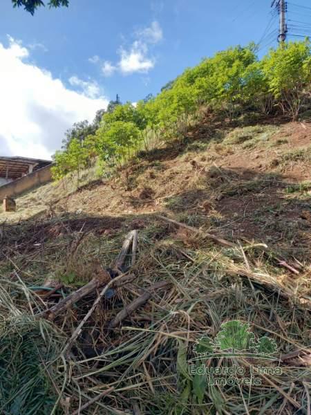 Terreno Residencial à venda em Corrêas, Petrópolis - RJ - Foto 6