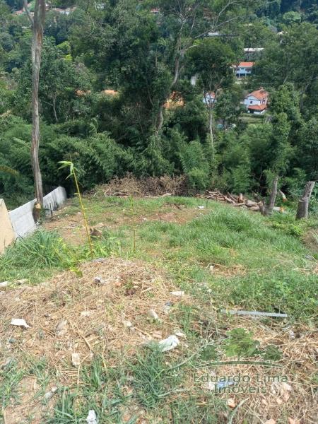 Terreno Residencial à venda em Corrêas, Petrópolis - RJ - Foto 3