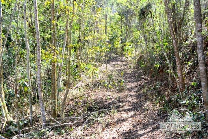 Terreno Comercial à venda em Posse, Petrópolis - RJ - Foto 2